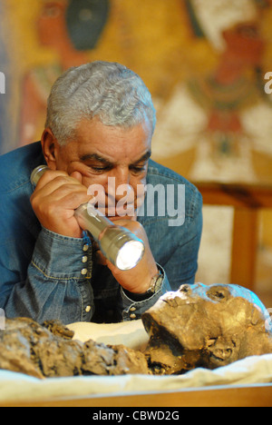 Zahi Hawass examinant King Tut maman à l'intérieur de la tombe du roi Tut dans la Vallée des Rois à Louxor, Egypte Banque D'Images