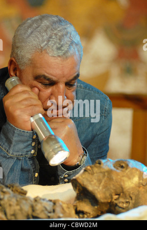 Zahi Hawass examinant King Tut maman à l'intérieur de la tombe du roi Tut dans la Vallée des Rois à Louxor, Egypte Banque D'Images