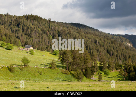 Banhs de Tredòs, Val d'Aran, Lleida, Espagne Banque D'Images