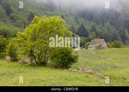 Banhs de Tredòs, Val d'Aran, Lleida, Espagne Banque D'Images