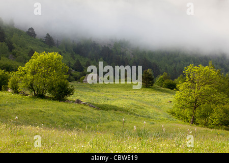 Banhs de Tredòs, Val d'Aran, Lleida, Espagne Banque D'Images