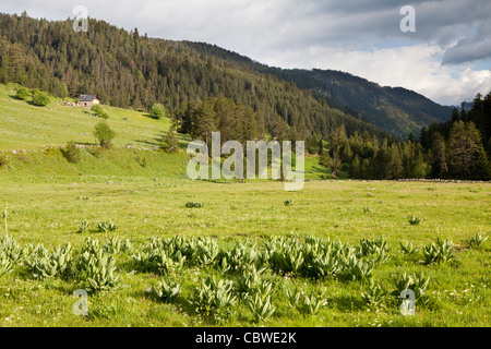 Banhs de Tredòs, Val d'Aran, Lleida, Espagne Banque D'Images