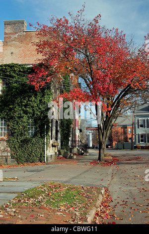 Schenectady, New York's Stockade Historic District à l'automne. Banque D'Images