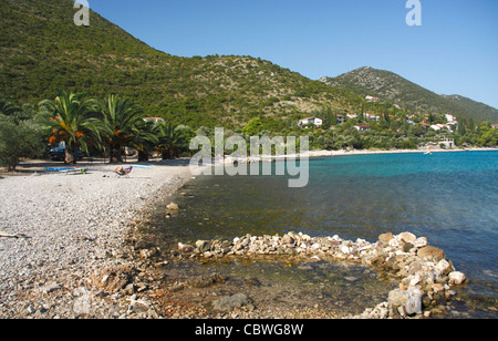 Plage Près de Vrila camping dans la partie sud de Orebic, Croatie Banque D'Images