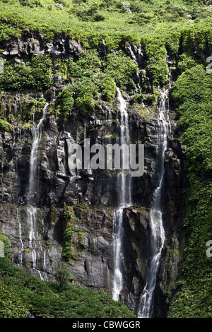 Chutes d'eau près de Faja Grande, Lajes das Flores, sur l'île la plus à l'ouest des Açores, Flores. Banque D'Images