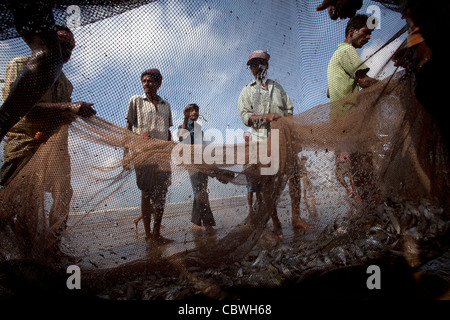 Filet de pêche Les pêcheurs l'arraché ensemble dans la plage de Digha, Bengale occidental, Inde Banque D'Images