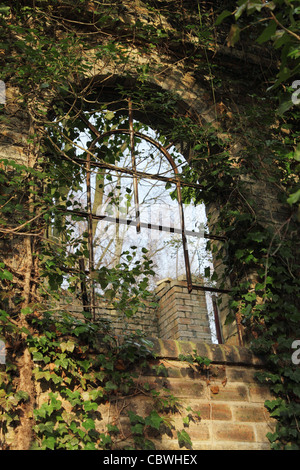 Nature récupère un ancien bâtiment industriel, Derwent Valley, Gateshead, England, UK Banque D'Images