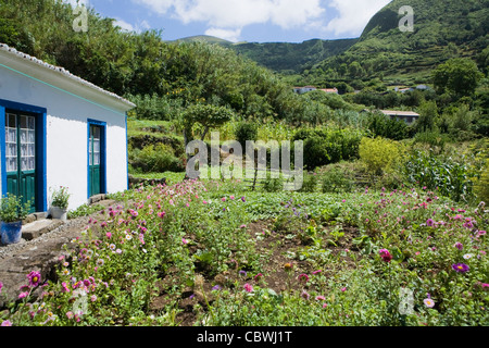 Petite maison blanche et joli jardin à Lajes das Flores, Flores, Açores Banque D'Images