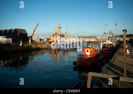 Bateau de pêche revenant de la pêche La pêche Bateaux et filets dans le port de Whitstable Kent England Banque D'Images