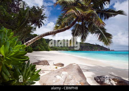 Four Seasons Resort beach, Mahe, Seychelles Banque D'Images