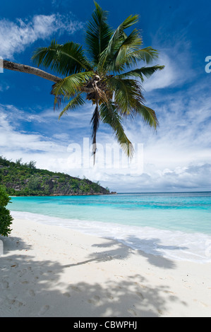 Four Seasons Resort beach, Mahe, Seychelles Banque D'Images