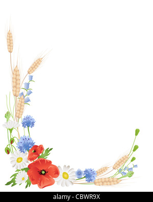 Une illustration d'un arrangement de fleurs sauvages d'été avec du blé et harebells coquelicots marguerites sur white Banque D'Images