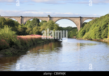 Viaduc de Victoria Washington - de l'Ouest en été. North East England UK Banque D'Images