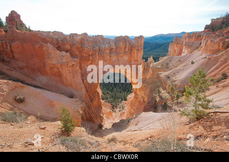 Passage de grès rouge et de cheminées à Bryce Canyon National Park Utah Banque D'Images