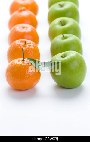 Les oranges et les pommes en rangées sur un fond blanc - les clémentines et Variétés Granny Smith Banque D'Images