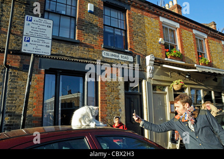 Man photographing chat blanc qui est assis sur le toit d'une voiture, Columbia Road Flower Market, Tower Hamlets, London England UK Banque D'Images