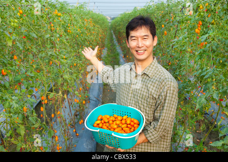 Succès asian farmer holding tomato on his farm Banque D'Images