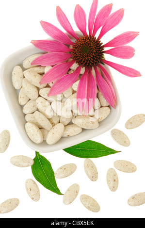 Echinacea purpurea Extract pills, alternative medicine concept Banque D'Images