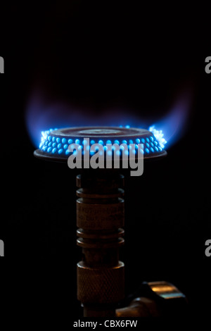 Flammes bleues de brûleur à gaz Banque D'Images