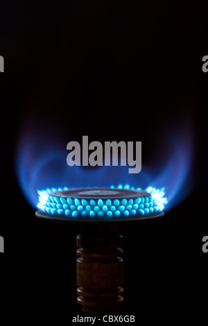 Flammes bleues de brûleur à gaz Banque D'Images