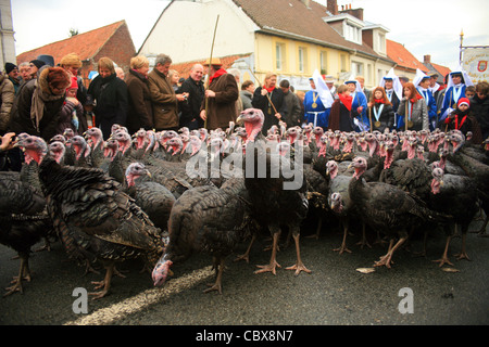 Fête de la Dinde de Licques, la Turquie festival à Licques près de Calais, Pas de Calais, France. Tenue en décembre de chaque année Banque D'Images