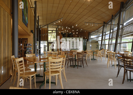 Vue de l'intérieur de l'Orokonui Ecosanctuary en Nouvelle Zélande Banque D'Images