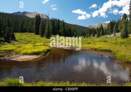 Chalk Creek le long de la quatre-roues motrices Tincup pass road, Chaffee Comté (Colorado) Banque D'Images