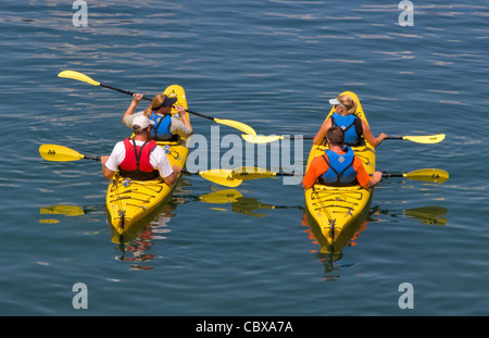 Les kayakistes, Bar Harbor, Maine. Un groupe d'apprenants, dans les gilets de tenter la pagaie dans l'eau du port. Banque D'Images