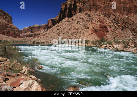 La Rivière Colorado s'écoule par Badger Creek rapide dans Marble Canyon, Grand Canyon, Arizona Banque D'Images