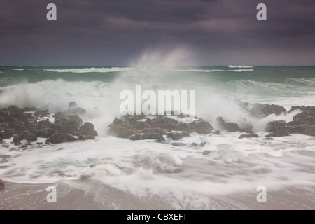 Jupiter Beach, Coral Cove State Park, Blowing Rocks State Park, Florida, USA Banque D'Images