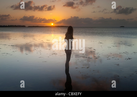 Femme sur le littoral, silhouette contre le ciel au coucher du soleil, Key Largo, Florida, USA Banque D'Images