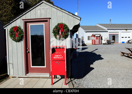 Shamrock Christmas Tree Farm Mattituck Long Island NY Banque D'Images