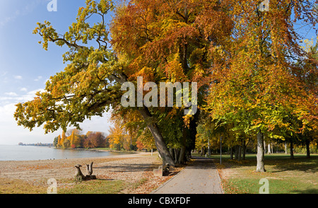 Atmosphère d'automne au bord du lac du Lac Léman avec arbres colorés Banque D'Images