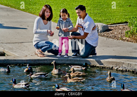 Un Filipino-American Vietnamese-American père, son épouse et leur mélange racial quatre-année-vieille fille nourrir les canards. Banque D'Images