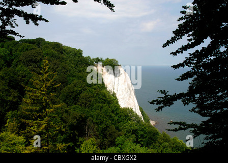 Craie Koenigsstuhl dans le parc national de Jasmund, sur l'île de Rügen. Banque D'Images