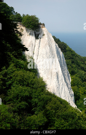 Craie Koenigsstuhl dans le parc national de Jasmund, sur l'île de Rügen. Banque D'Images