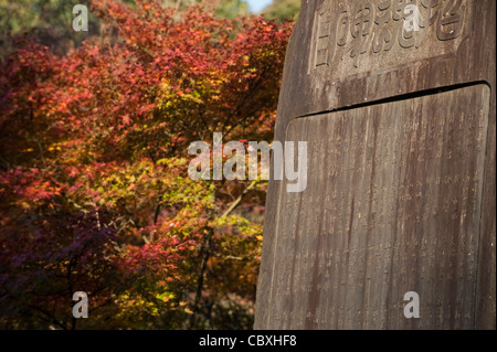 (Tōfuku-ji 東福寺, Tōfukuji) est un grand temple Zen dans le sud-est de Kyoto, qui est célèbre pour ses magnifiques couleurs d'automne & Gardens Banque D'Images