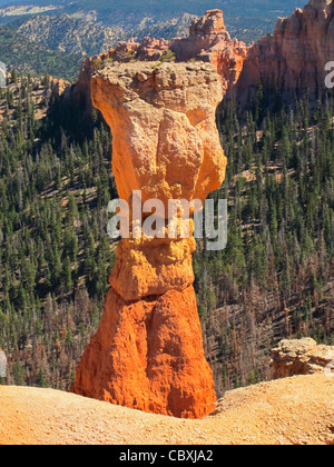 Le marteau de Thor, Bryce Canyon Utah USA Banque D'Images