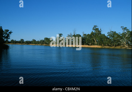 Eaux calmes de la Murray river, près de Mildura, Victoria, Australie, en été. Banque D'Images