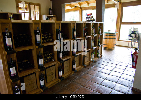 Le Chili. Torres de vin de Curicó. District de Maule. Banque D'Images