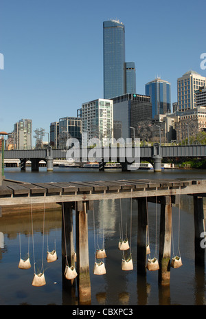 Jardin suspendu fait de sacs végétaux accrochés sur une jetée de Yarra à Southbank, dans le centre de Melbourne, Victoria, Australie Banque D'Images