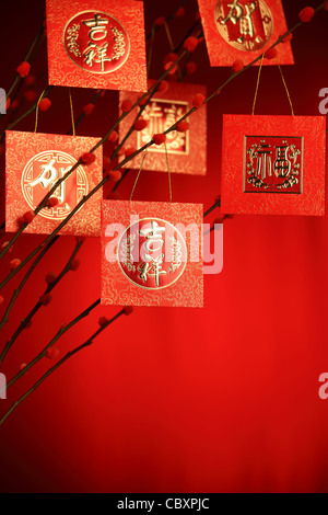 La décoration du Nouvel An chinois--paquet rouge sur prunier,direction des paquets sur caractère symbolise la bonne chance. Banque D'Images