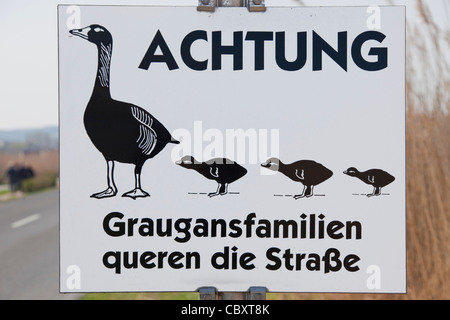 / Oie cendrée oie cendrée (Anser anser) panneau d'avertissement pour les oies crossing street, Allemagne Banque D'Images