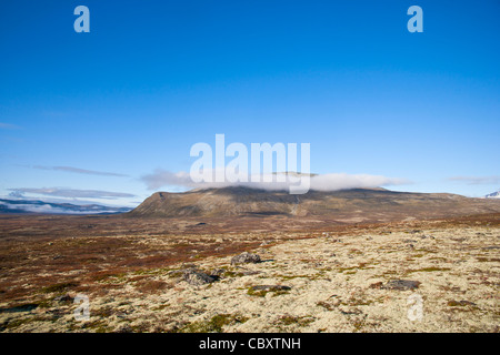 Dovrefjell Sunndalsfjella Parc National Banque D'Images