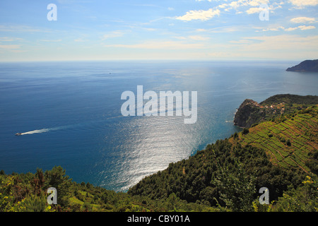 Vue aérienne sur vignes et mer Méditerranée sur la côte ligure en Italie du Nord. Banque D'Images
