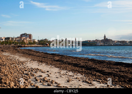 Méditerranée Posidonia tapeweed' dans San Giovanni Alghero Sardaigne Italie Banque D'Images