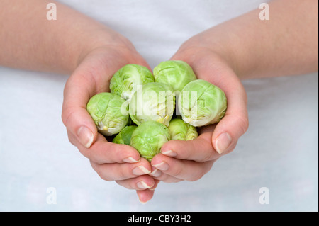 Woman's hands holding fresh, matières choux de bruxelles Banque D'Images