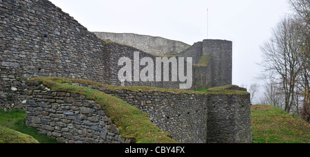 Ruines du château d'Herbeumont dans les Ardennes Belges, Belgique Banque D'Images