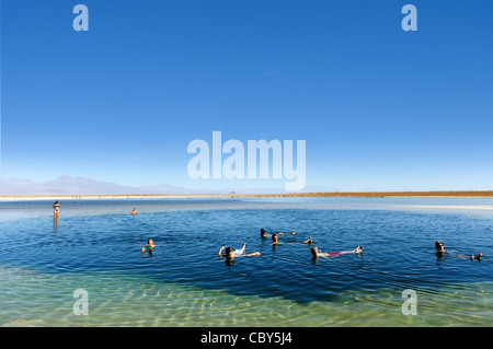 Les touristes en flottant Laguna Cejar (également appelé Laguna Cejas) dans theSalar d'Atacama au Chili Banque D'Images