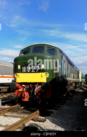 Brosse BR 46 Classe Sulzer Diesel de pointe non D182 à Brunswick Green sur hangar à la Midland Railway Centre Derbyshire, Angleterre, Royaume-Uni Banque D'Images